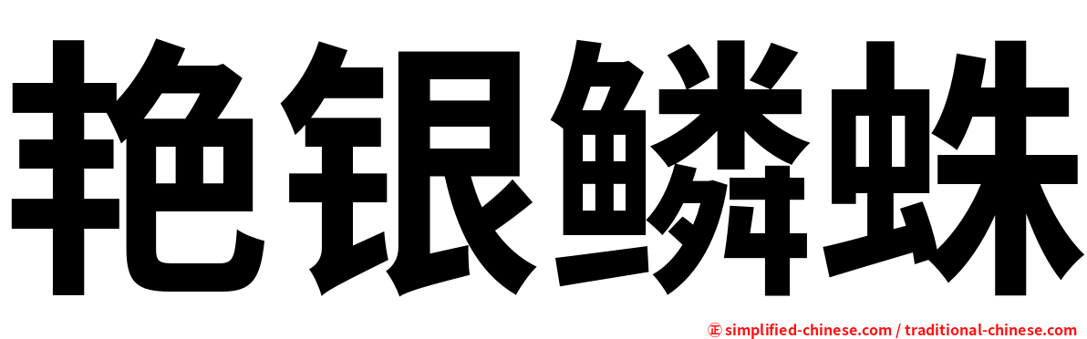 艳银鳞蛛