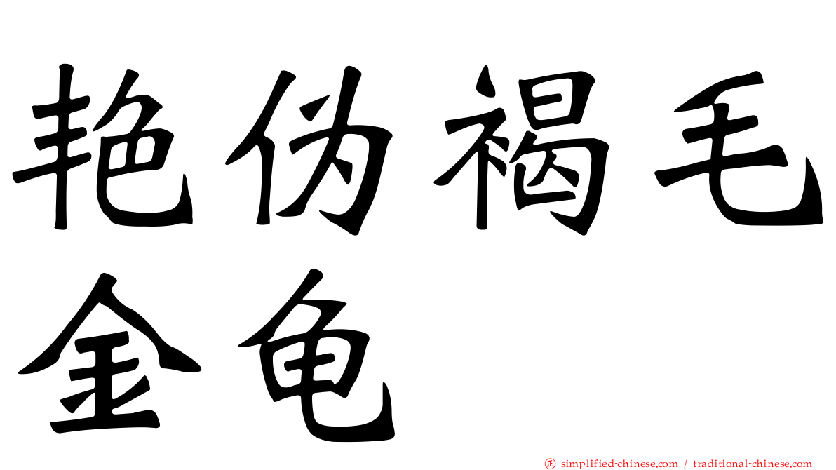 艳伪褐毛金龟