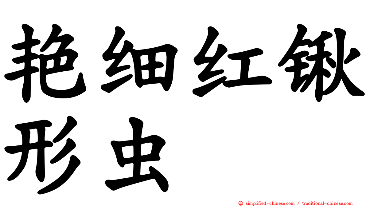 艳细红锹形虫