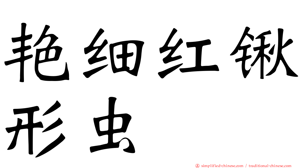 艳细红锹形虫