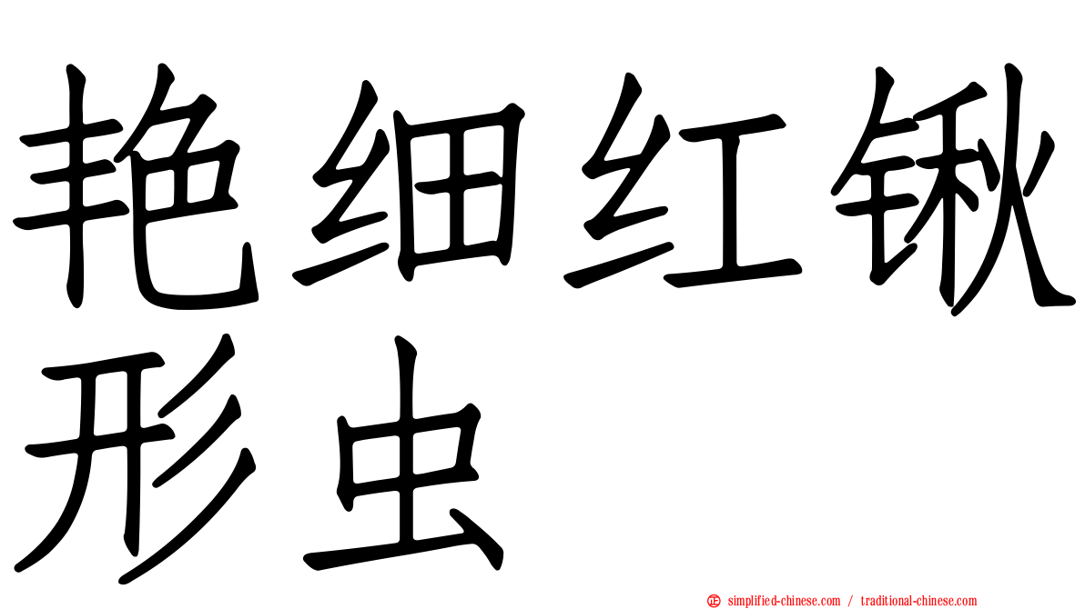 艳细红锹形虫
