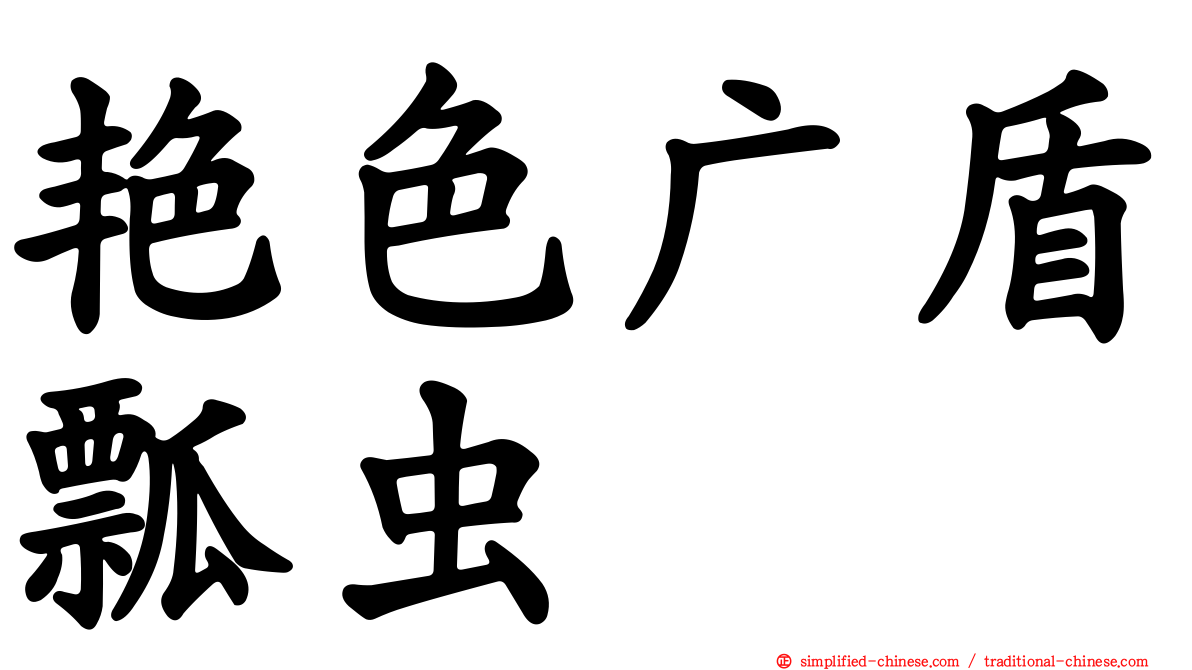 艳色广盾瓢虫