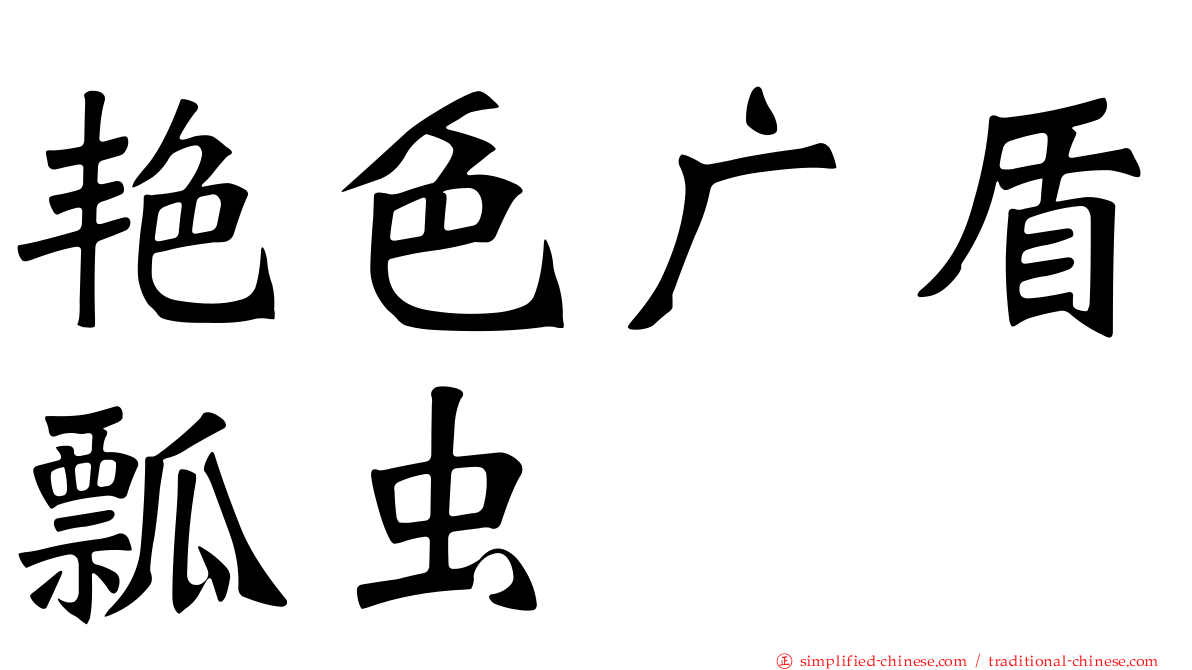 艳色广盾瓢虫