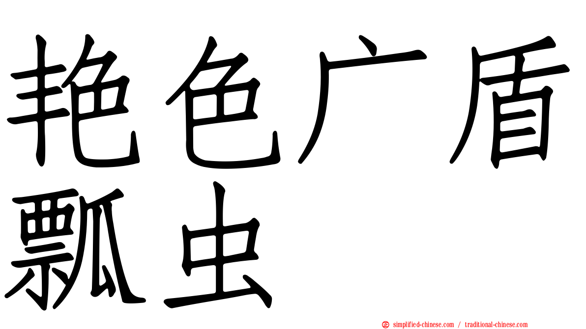 艳色广盾瓢虫