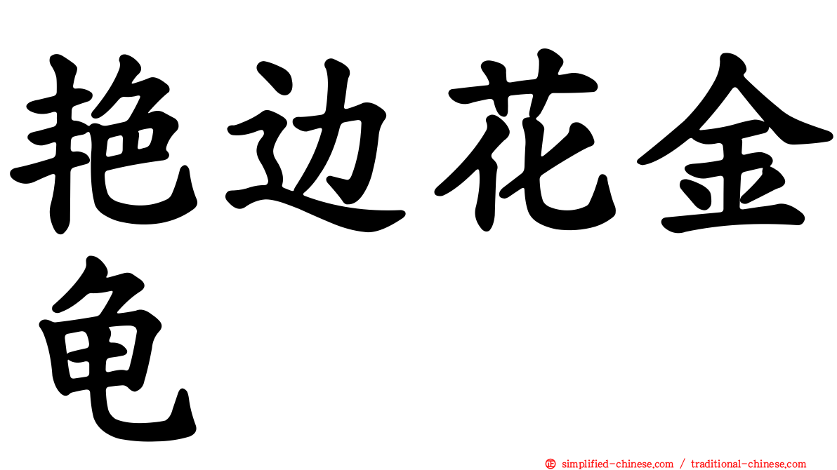艳边花金龟