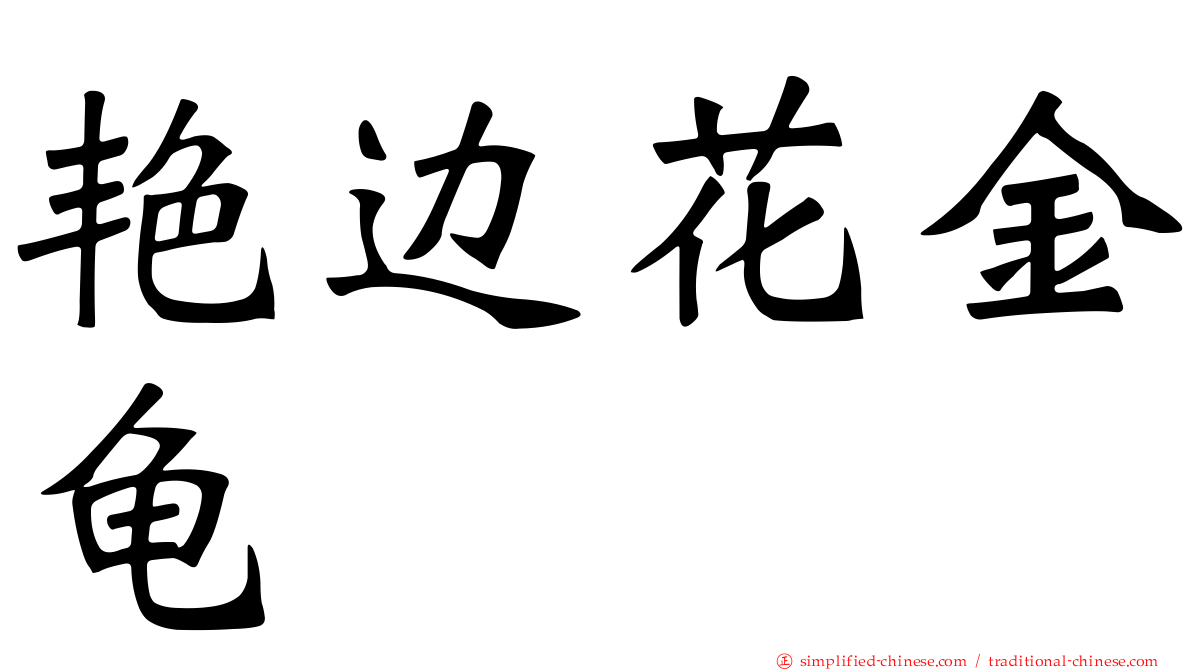 艳边花金龟