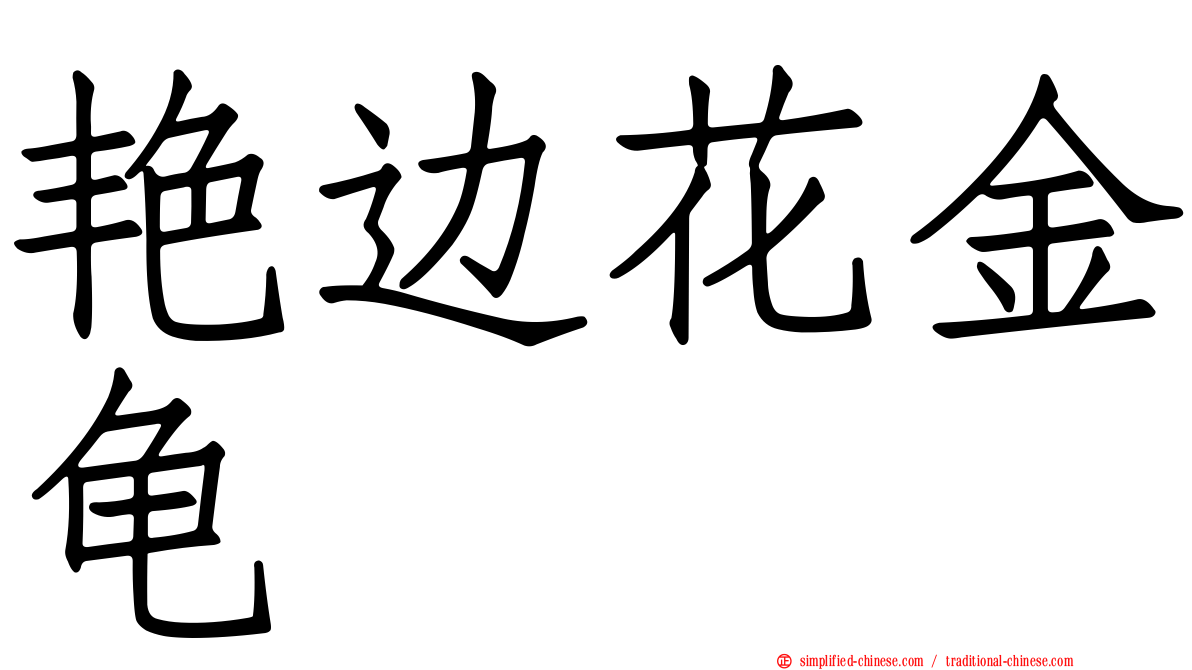 艳边花金龟