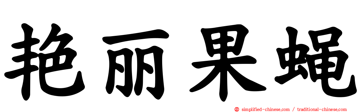 艳丽果蝇