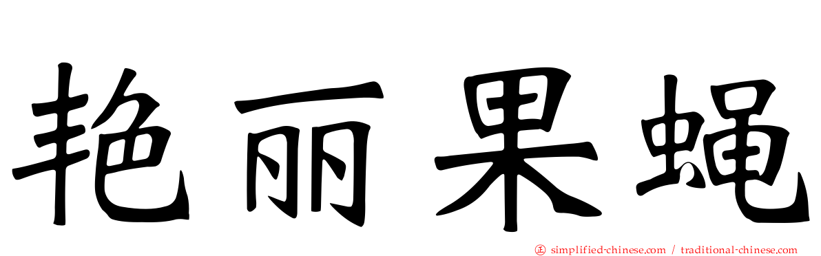 艳丽果蝇