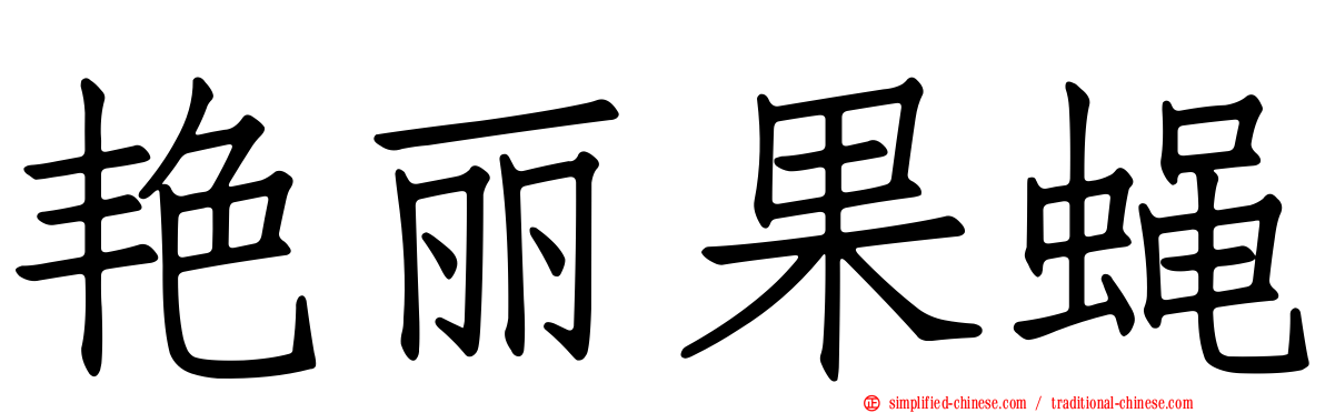 艳丽果蝇
