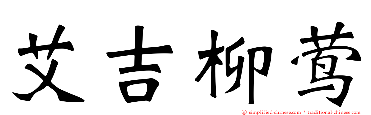 艾吉柳莺