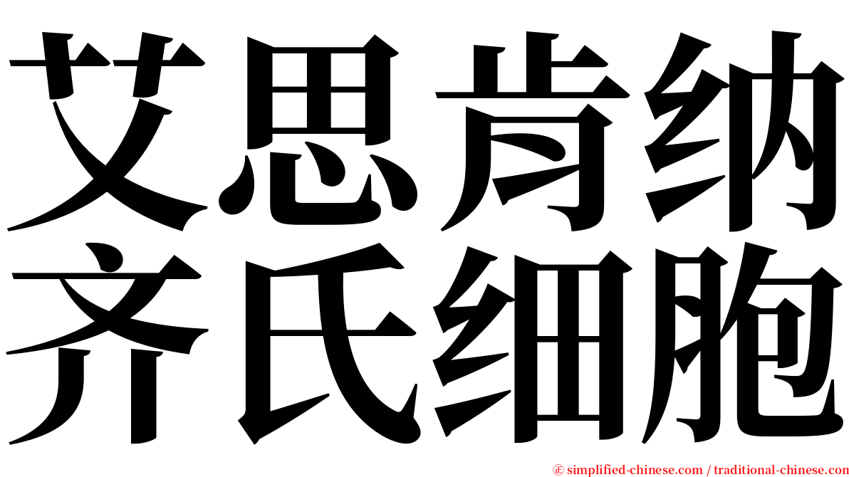 艾思肯纳齐氏细胞 serif font