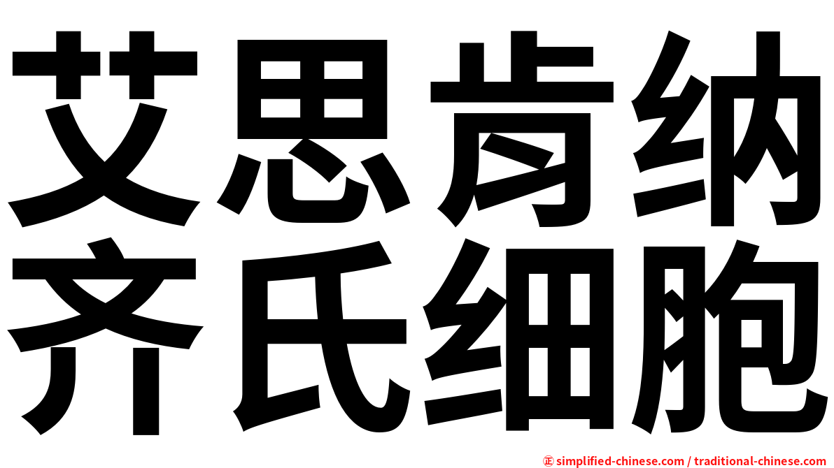艾思肯纳齐氏细胞