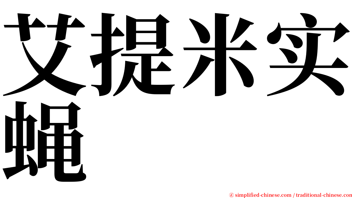 艾提米实蝇 serif font