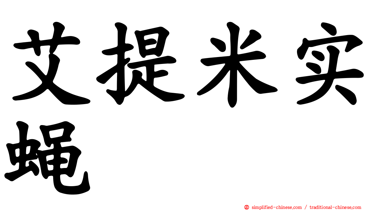 艾提米实蝇