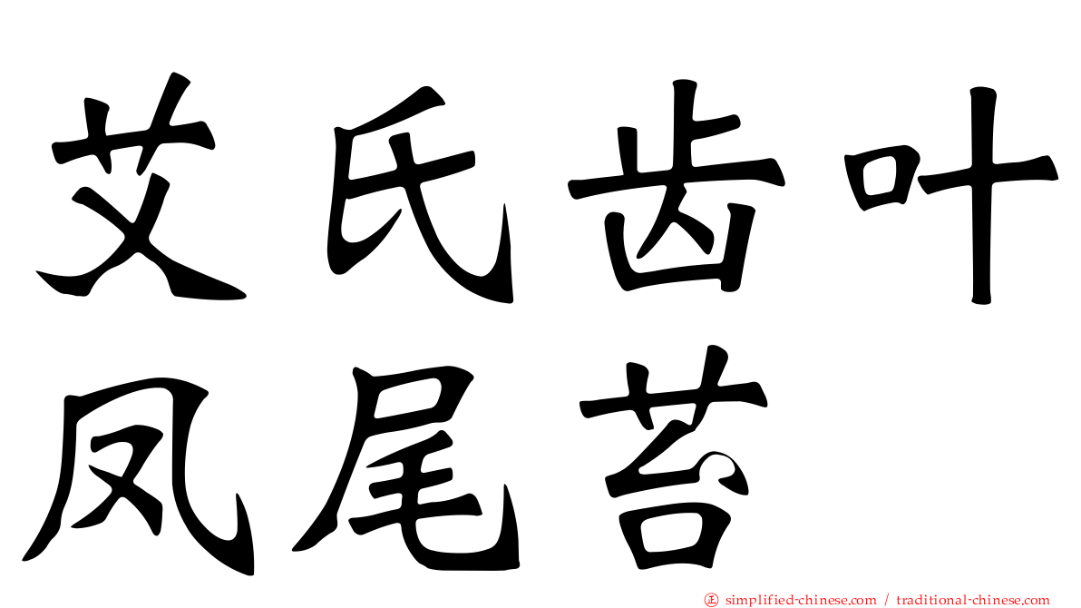 艾氏齿叶凤尾苔