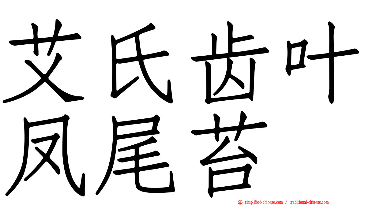 艾氏齿叶凤尾苔