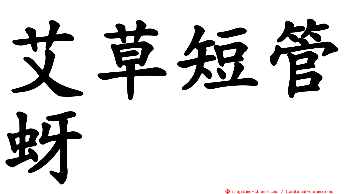 艾草短管蚜