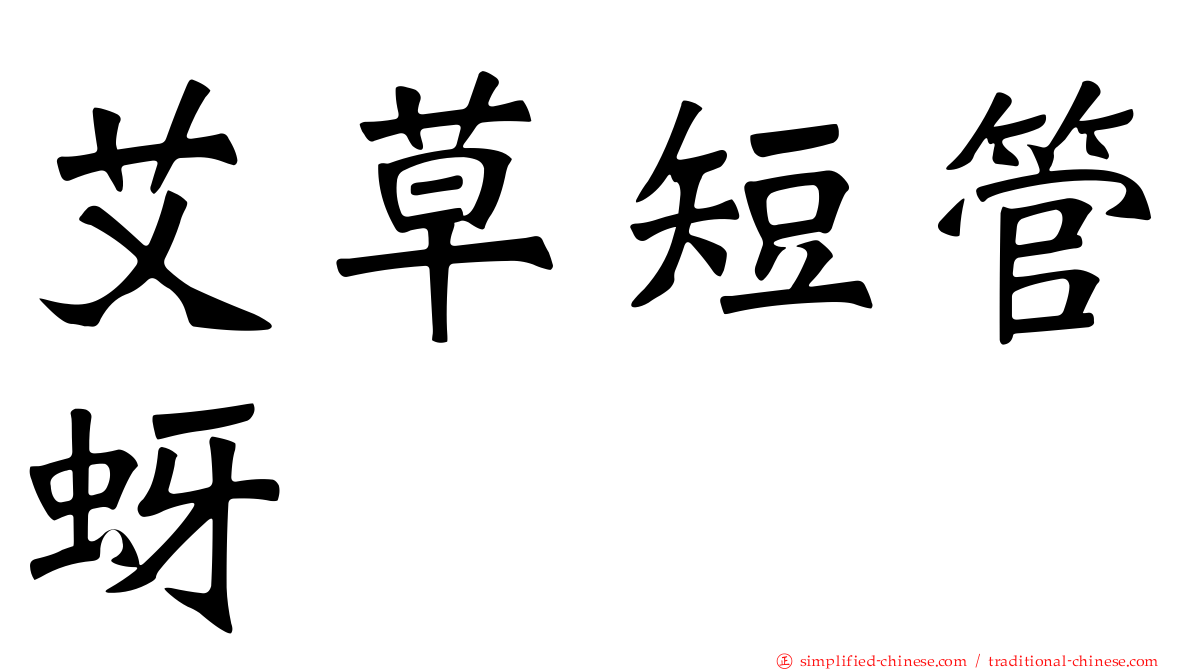 艾草短管蚜