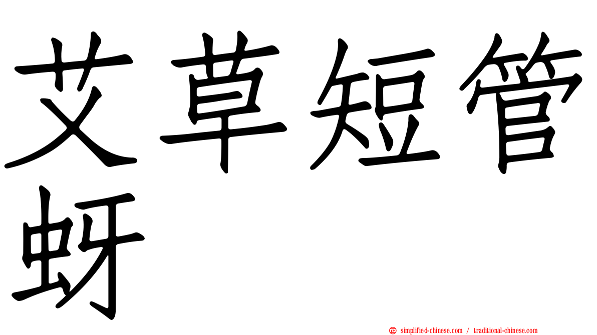 艾草短管蚜