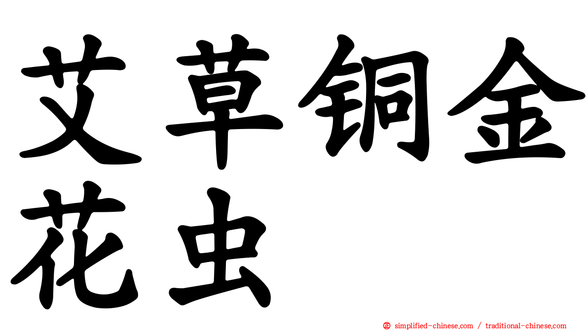 艾草铜金花虫