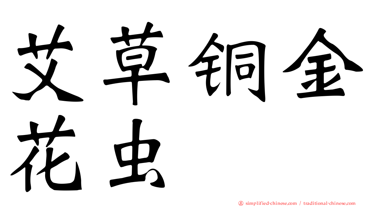 艾草铜金花虫