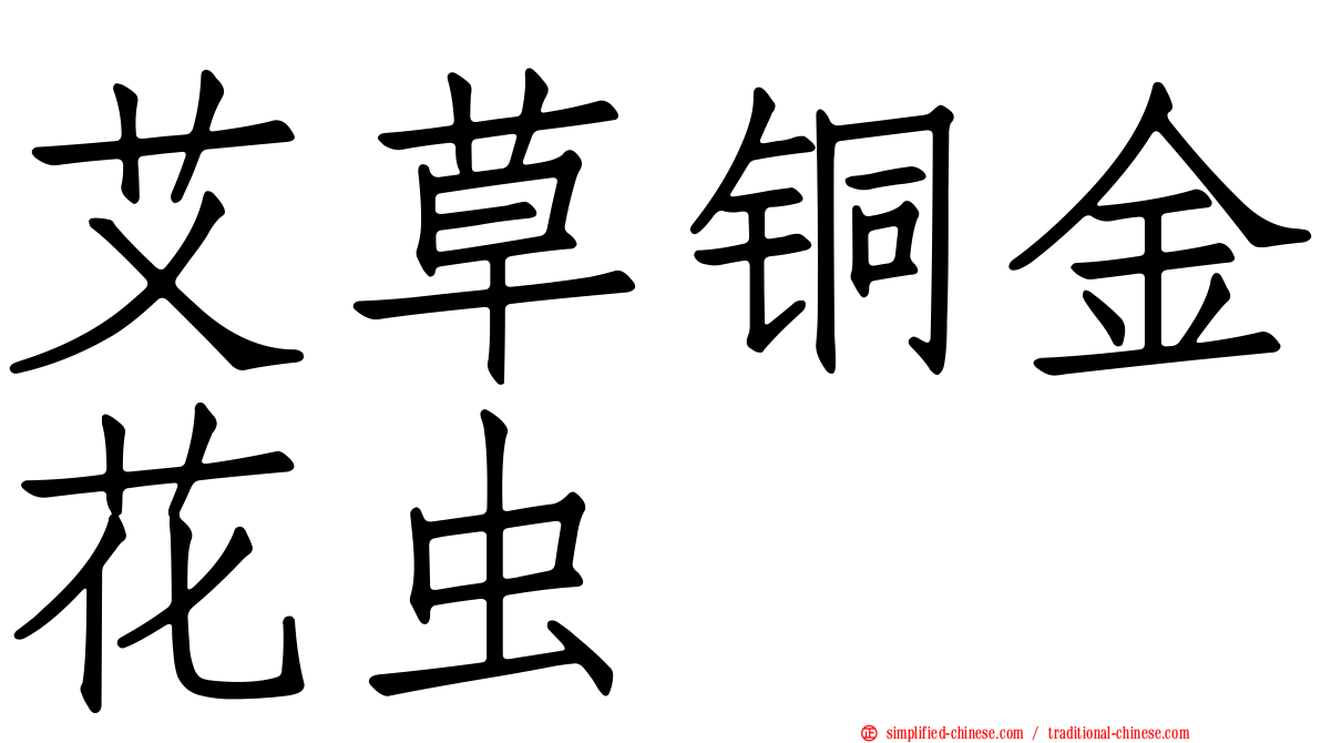 艾草铜金花虫