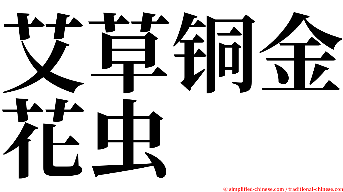 艾草铜金花虫 serif font