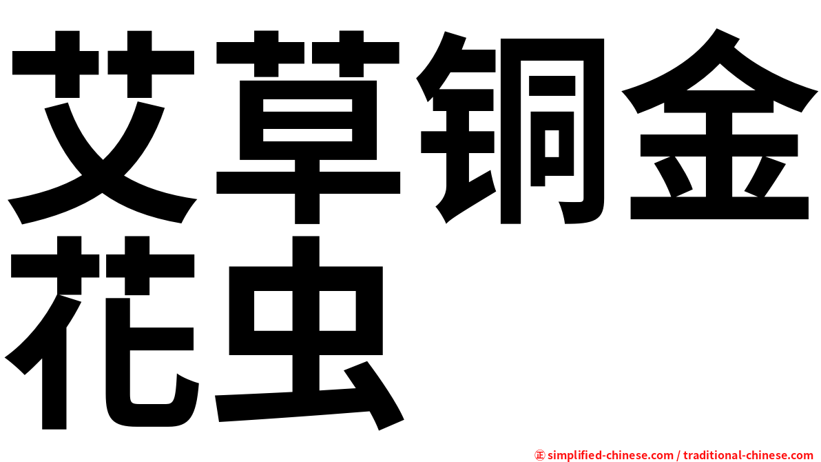 艾草铜金花虫