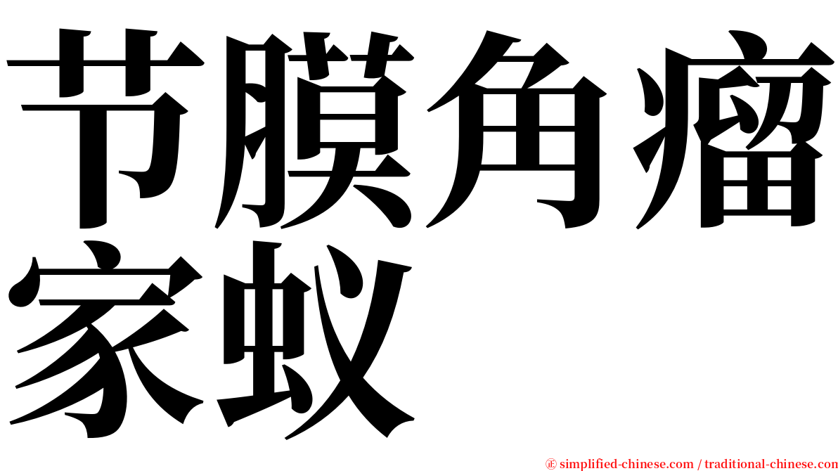 节膜角瘤家蚁 serif font