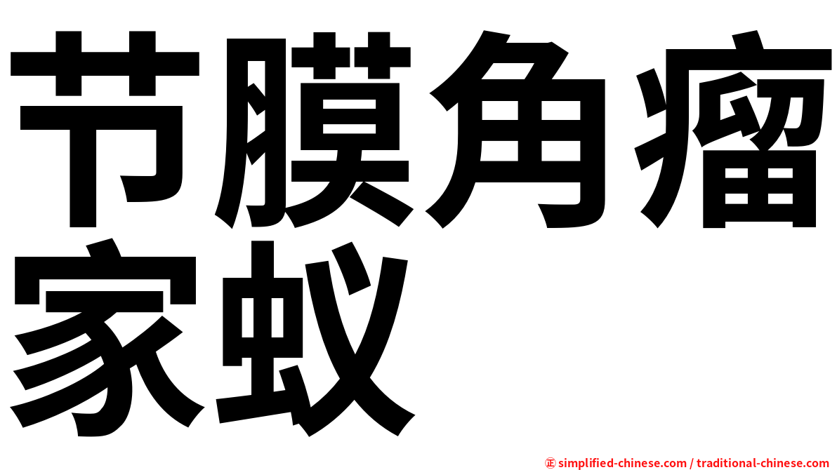 节膜角瘤家蚁