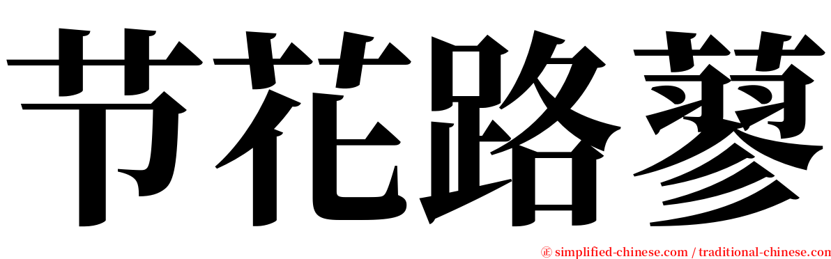 节花路蓼 serif font