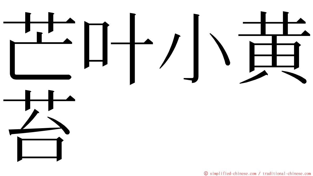 芒叶小黄苔 ming font