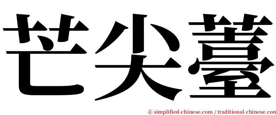 芒尖薹 serif font