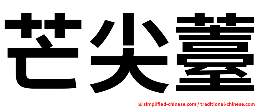 芒尖薹