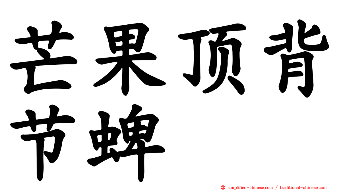 芒果顶背节蜱