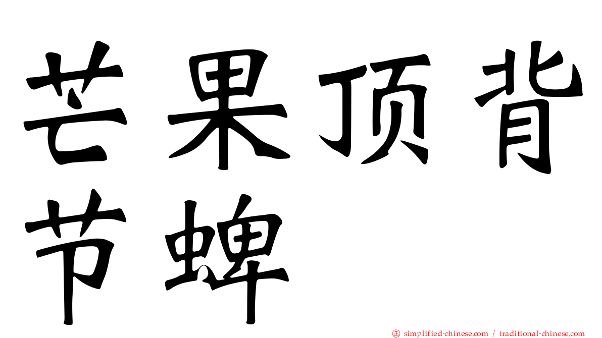 芒果顶背节蜱