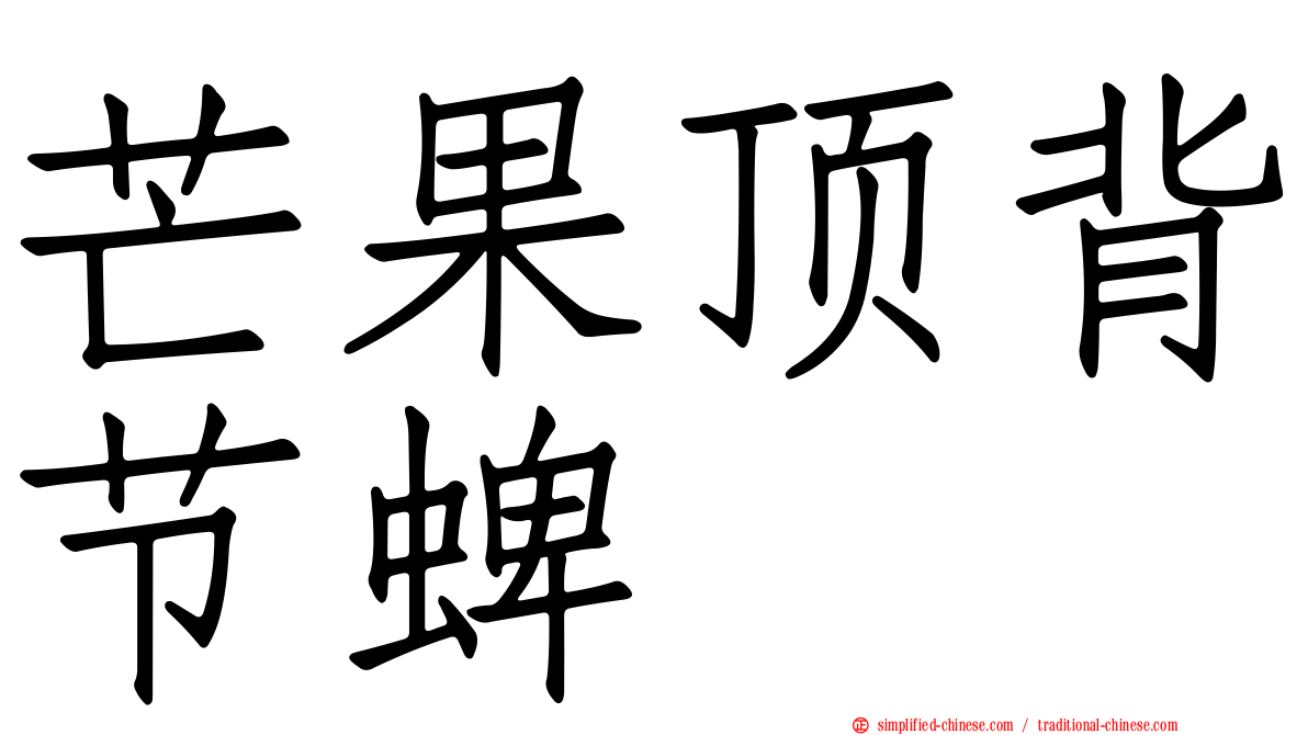 芒果顶背节蜱