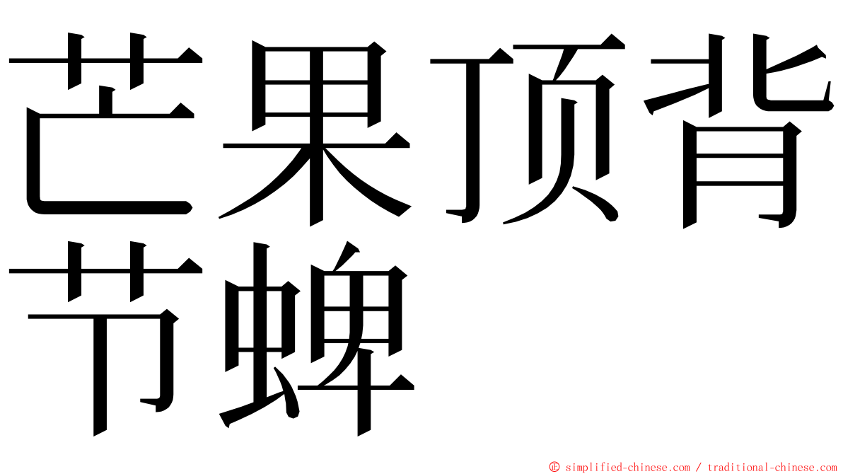 芒果顶背节蜱 ming font