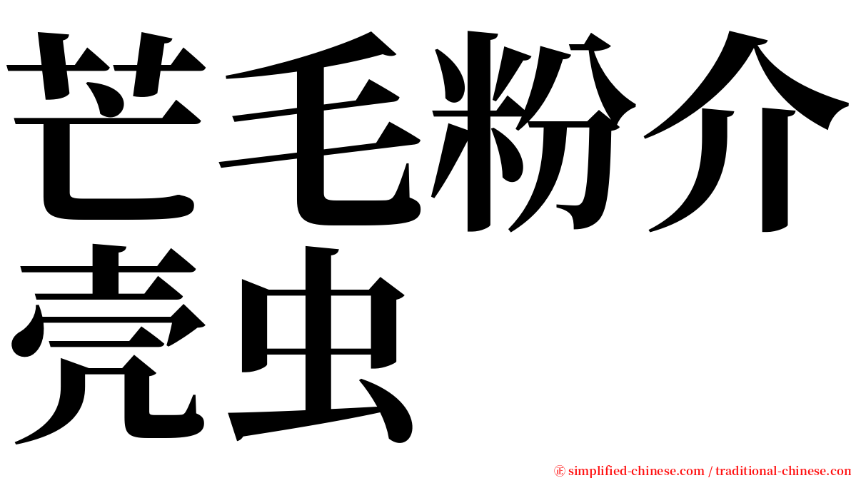 芒毛粉介壳虫 serif font