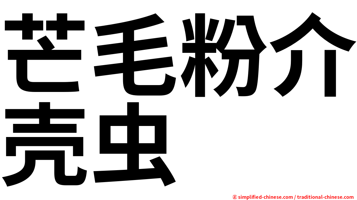 芒毛粉介壳虫