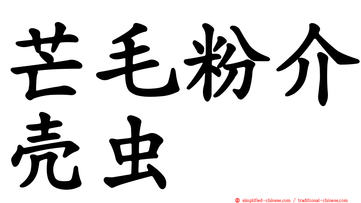 芒毛粉介壳虫