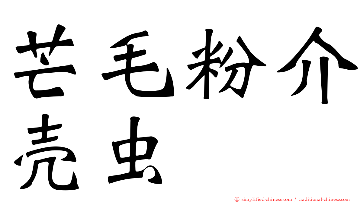 芒毛粉介壳虫