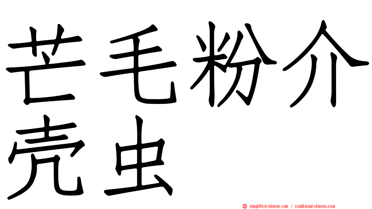 芒毛粉介壳虫
