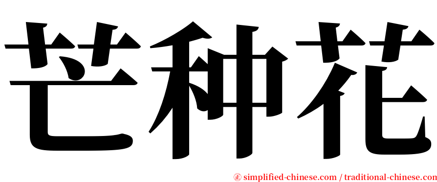 芒种花 serif font