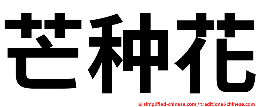 芒种花