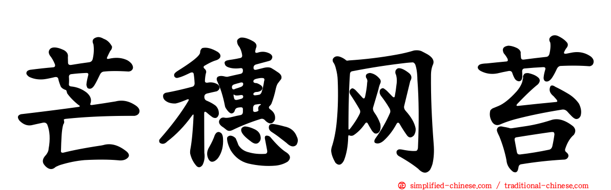 芒穗网苔