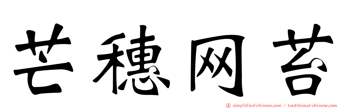 芒穗网苔