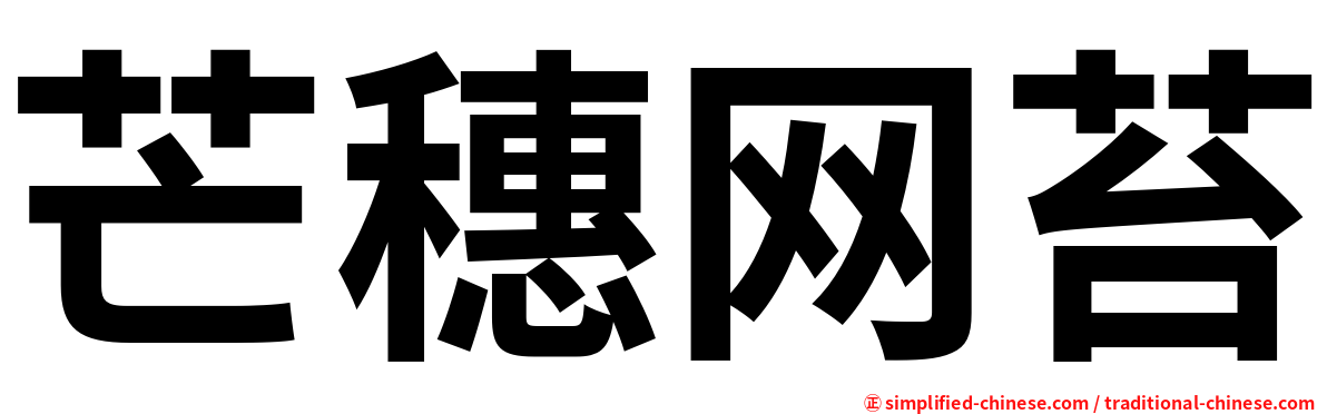 芒穗网苔