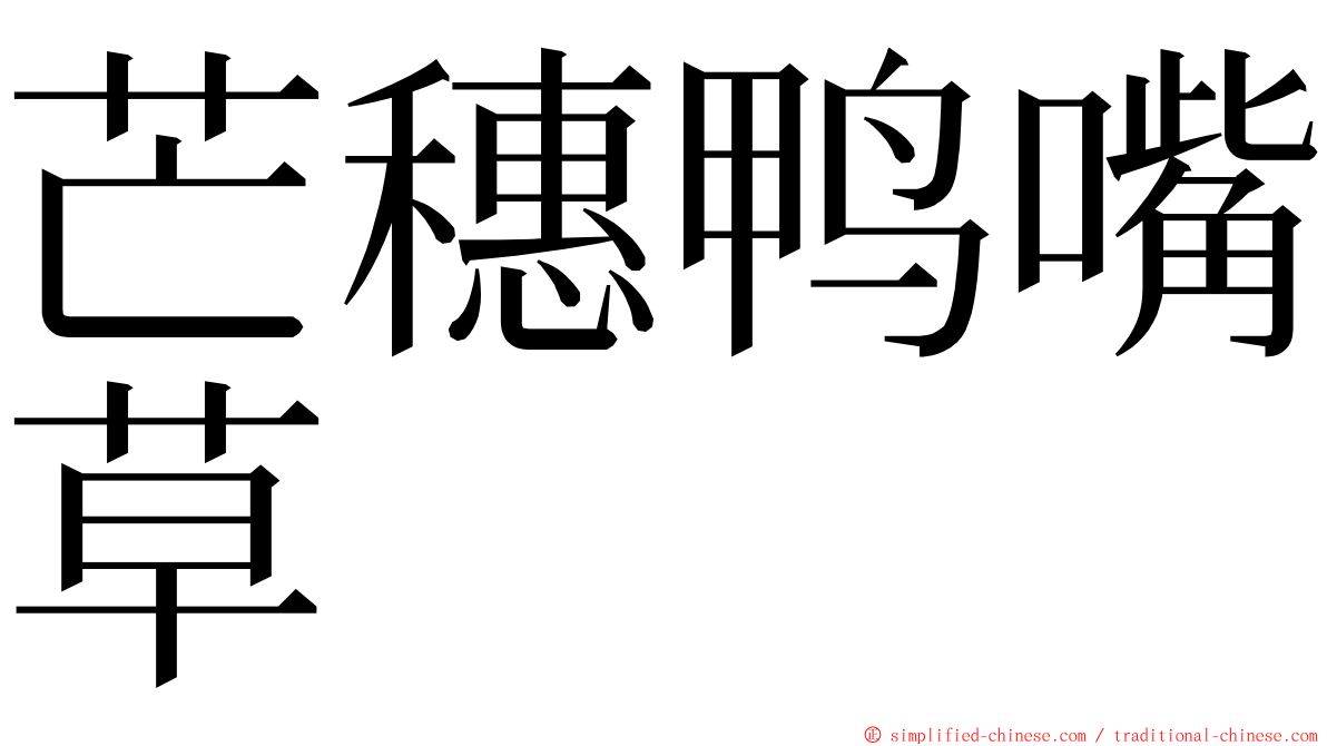 芒穗鸭嘴草 ming font